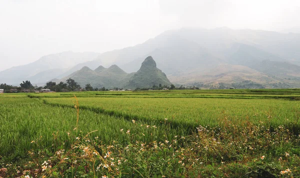 Paisagem Montanhosa Sapa Noroeste Vietnã Sapa Uma Cidade Incrivelmente Pitoresca — Fotografia de Stock