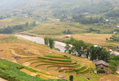 Sapa, Vietnam 'da teraslı pirinç tarlası. Sapa tarlaları Vietnam 'ın en olağanüstü doğal harikalarından biridir..