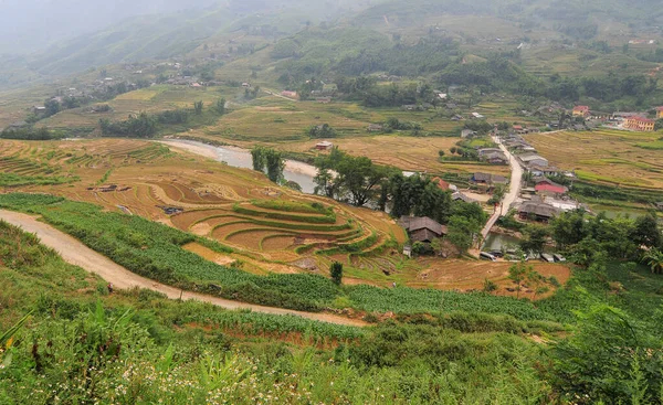 Campo Riso Terrazze Sapa Vietnam Sapa Campi Terrazzati Sono Una — Foto Stock