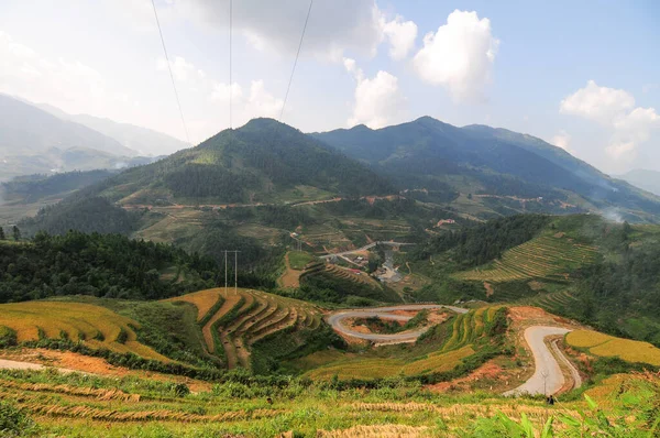 Terrain Riz Terrasses Sapa Vietnam Les Champs Terrasses Sapa Sont — Photo