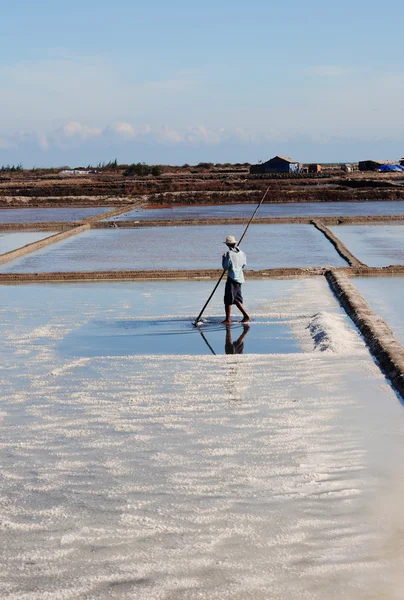 Cosecha de sal en Nha Trang, Vietnam —  Fotos de Stock