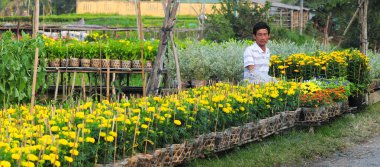 Çiçek Bahçesi Vietnam