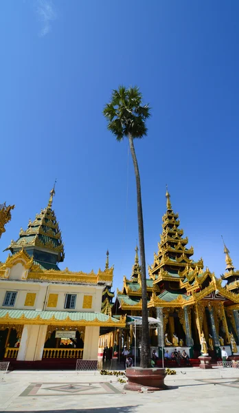 Shwedagon pagoda in yangon, Myanmar — стоковое фото