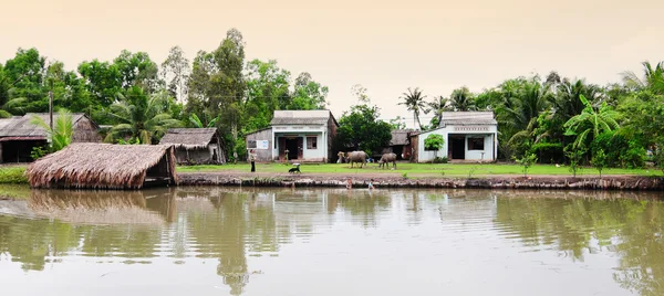 Ländliche Landschaft im Mekong-Delta, Vietnam — Stockfoto