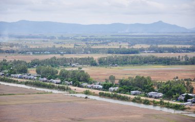 Çeltik pirinç alan Güney Vietnam