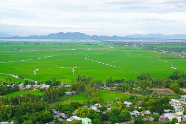 Çeltik pirinç alan Güney Vietnam