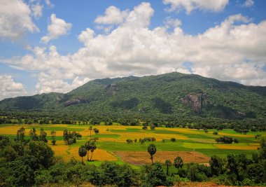 Çeltik pirinç alan Güney Vietnam