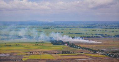 Çeltik pirinç tarlaları Mekong Deltası'nda havadan görünümü