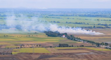 Çeltik pirinç tarlaları Mekong Deltası'nda havadan görünümü