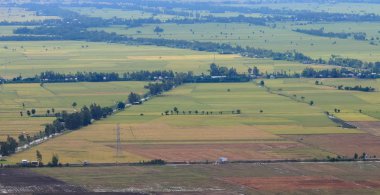 Çeltik pirinç tarlaları Mekong Deltası'nda havadan görünümü