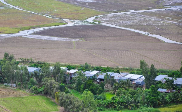 Vista aérea dos campos de arroz paddy no delta do Mekong — Fotografia de Stock