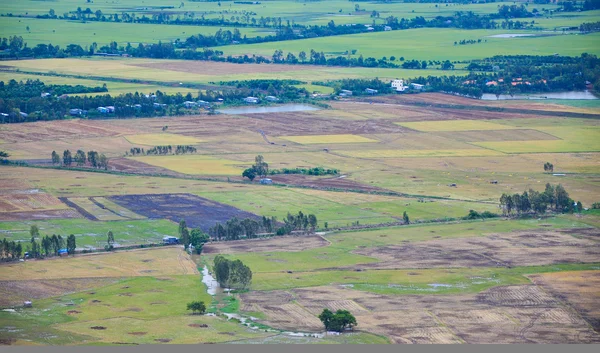 Çeltik pirinç tarlaları Mekong Deltası'nda havadan görünümü — Stok fotoğraf