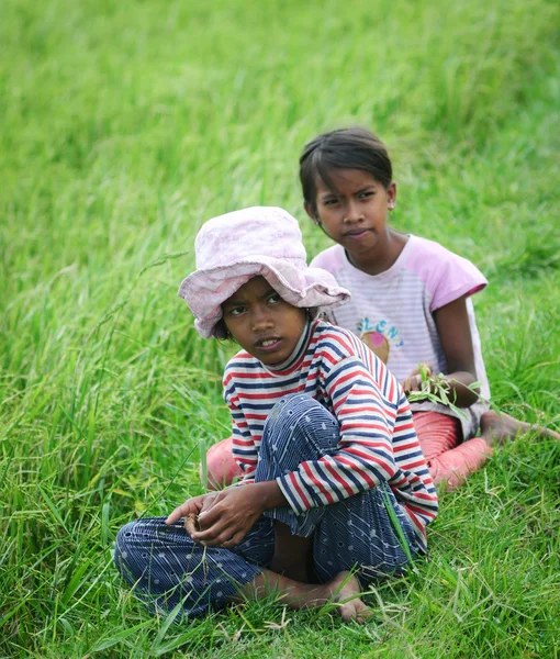 Asiatique enfants jouer sur rizière — Photo