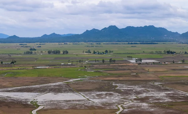 Vista aérea de arrozales en el Delta del Mekong —  Fotos de Stock