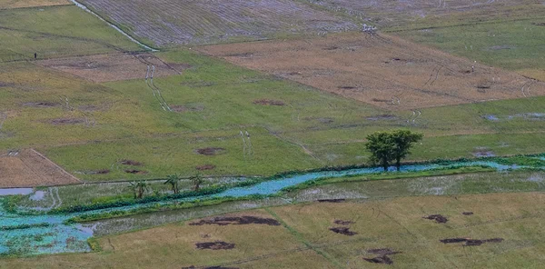 Vista aérea de arrozales en el Delta del Mekong — Foto de Stock