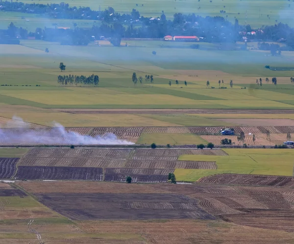 Vista aérea de arrozales en el Delta del Mekong — Foto de Stock