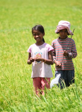 Asyalı çocuk pirinç sahada oyun