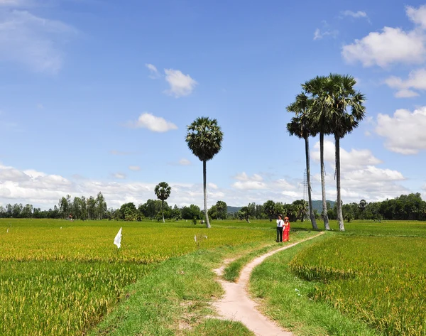 Gente vietnamita en traje tradicional en el campo de arroz — Foto de Stock