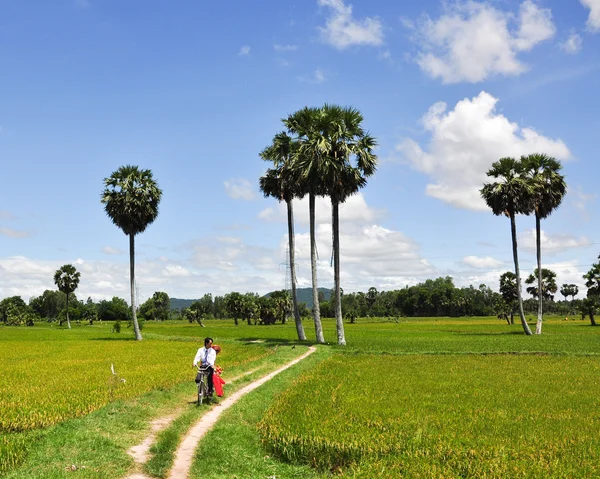 Pessoas vietnamitas em traje tradicional no campo de arroz — Fotografia de Stock