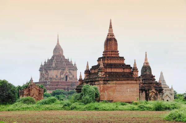 Antické chrámy v Bagan — Stock fotografie