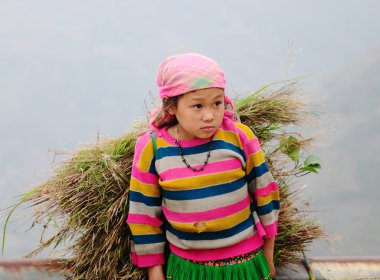 Etnik Hmong çocuk Sapa, Vietnam