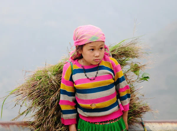 Etnikai Hmong gyermekek Vietnamban, a Sapa — Stock Fotó