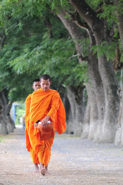 Asian young monks walking morning alms — Stock Photo, Image