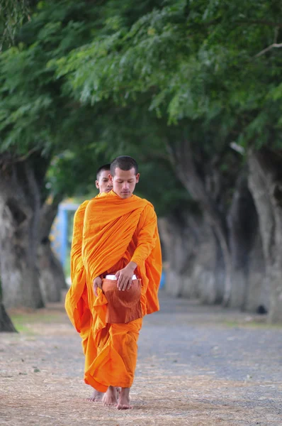 Aziatische jonge monniken ochtend alms wandelen — Stockfoto