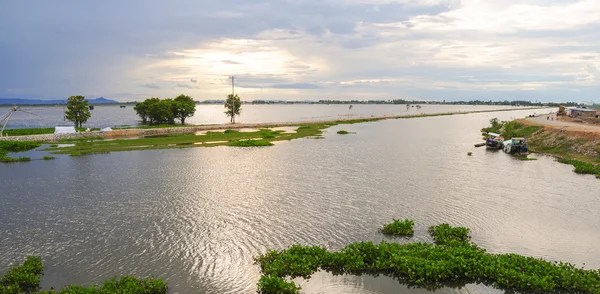 Flooding field in Mekong Delta — Stock Photo, Image