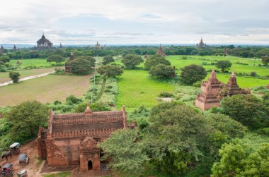 Bagan (Pagan tapınakları)