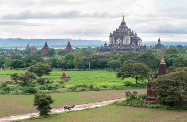 Bagan (Pagan tapınakları) — Stok fotoğraf