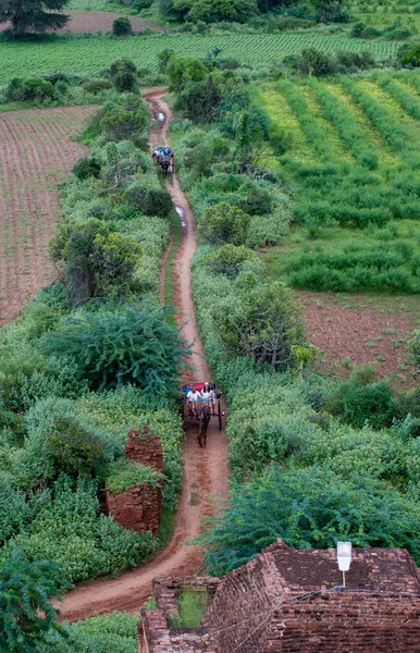 Touristes calèche à cheval à Bagan — Photo