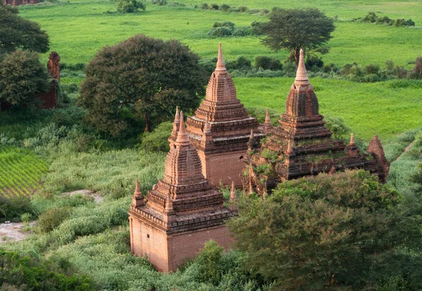 Temples de Bagan (païen ) — Photo