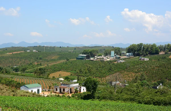 Paysage de plantation de thé vert — Photo