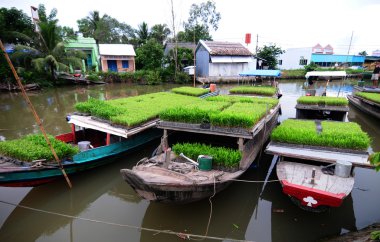 Mekong Nehri üzerinde yüzen tekne izole