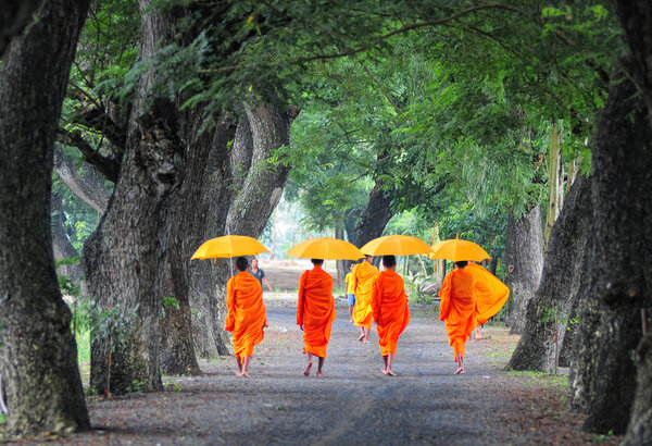 Asian young monks walking morning alms