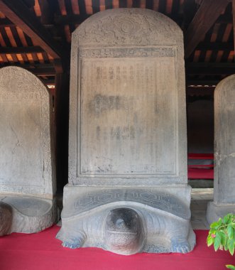 Kaplumbağa taş stel