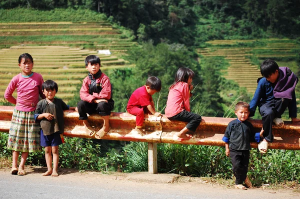 Enfants Hmong ethniques à Sapa, Vietnam — Photo