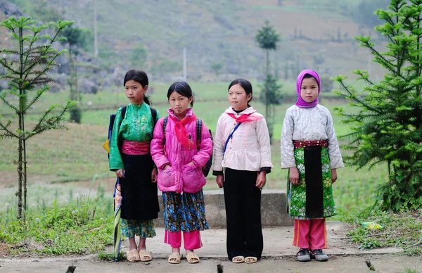 Etnische Hmong kinderen in Sapa, Vietnam — Stockfoto