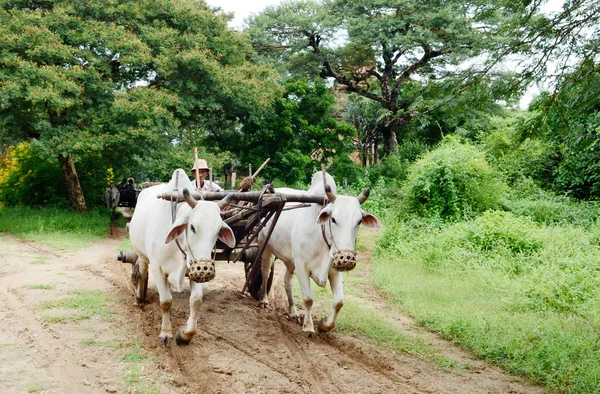 Increíble paisaje rural en Myanmar — Foto de Stock