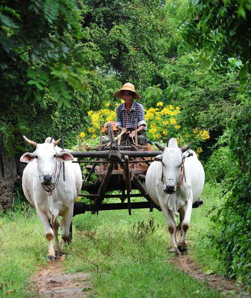 Increíble paisaje rural en Myanmar — Foto de Stock