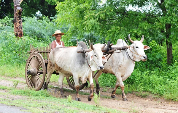 Paisagem rural incrível em Myanmar — Fotografia de Stock