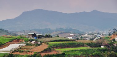 Highland, Dalat sebze alanları