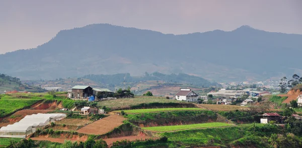 高地，大叻的菜地 — 图库照片