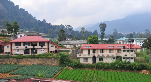 Campos de verduras y casa en Dalat — Foto de Stock