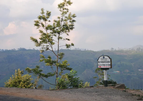 Hermoso camino de montaña a través de fincas de té — Foto de Stock