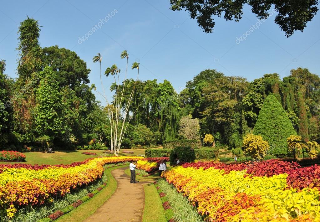 Botanical Garden Kandy Sri Lanka Stock Photo C Phuongphoto