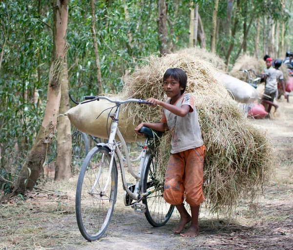 Travail des enfants dans les campagnes asiatiques Photos De Stock Libres De Droits