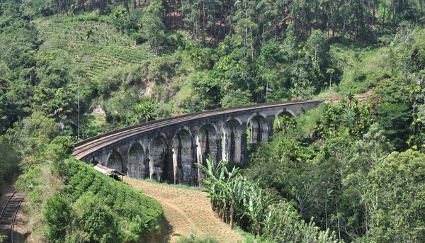 Nine Arch Bridge in Sri Lanka