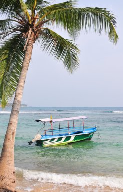Beach in Hikkaduwa, Sri Lanka clipart